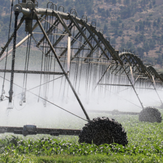 irrigation-01